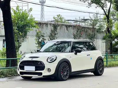 MINI MINI 2020