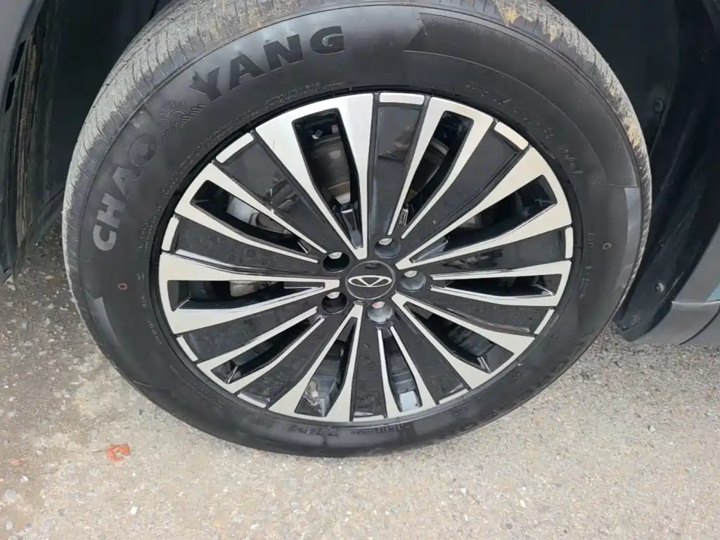 Chery Tiggo 8 PLUS C-DM 2024 — фото 23