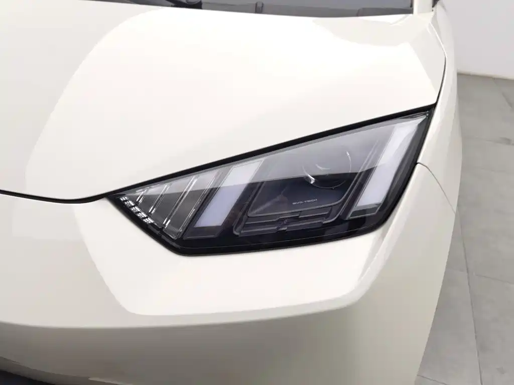 BYD Seagull 2024