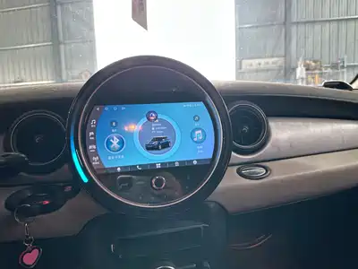 MINI MINI 2012