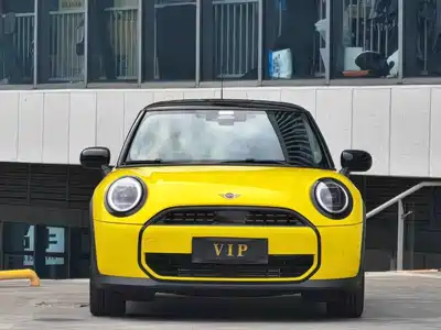 MINI MINI 2025