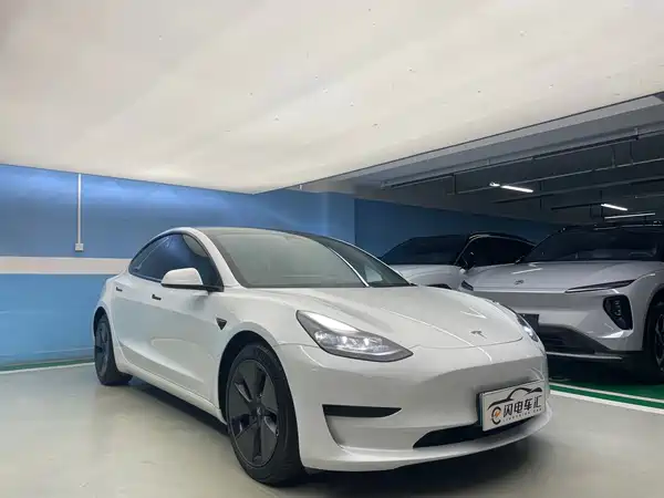 Tesla Model 3 2021