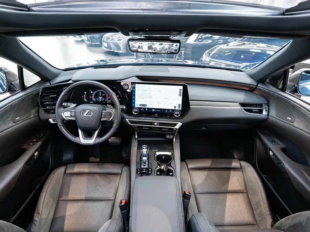 Lexus RX New Energy 2023 — фото 13