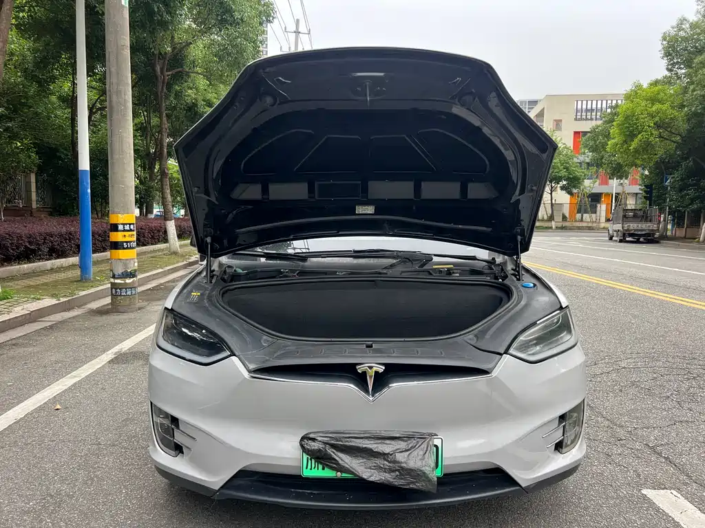 Tesla Model X 2018 — фото 4
