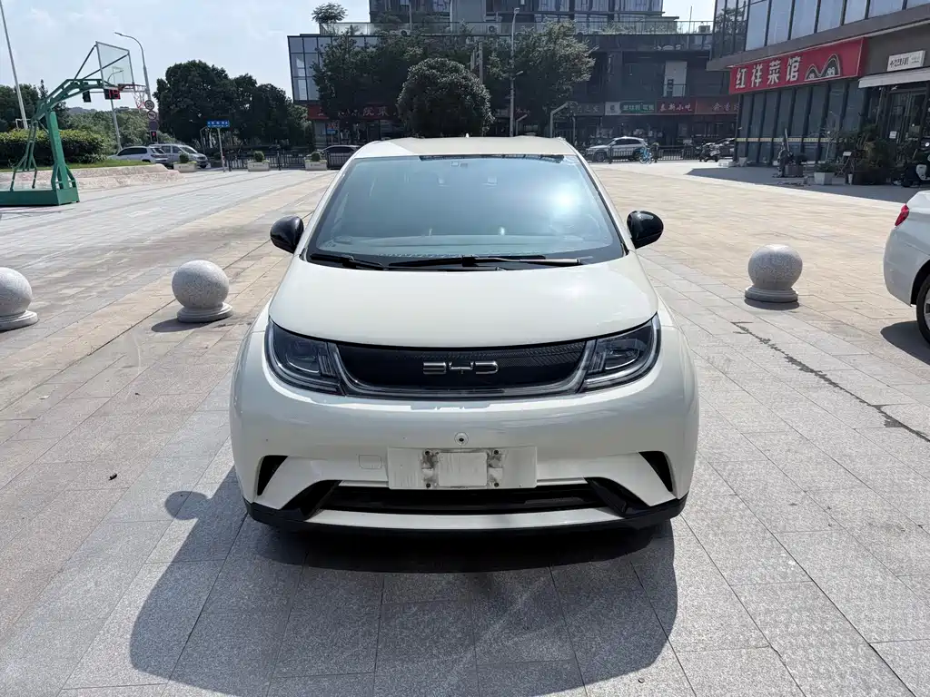 BYD Dolphin 2023