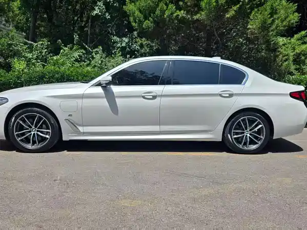 BMW 5 Series New Energy 2021