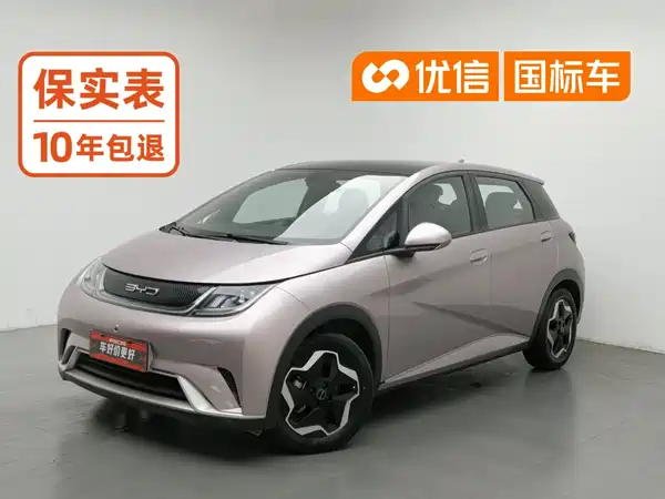 BYD Dolphin 2022
