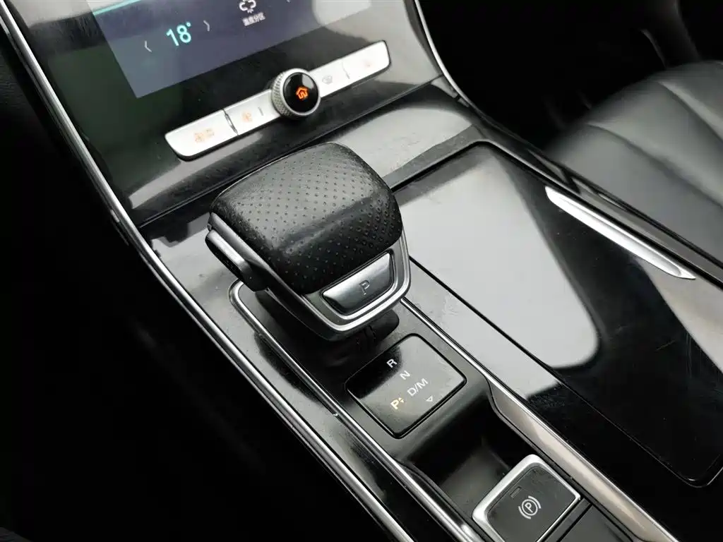 Roewe RX5 MAX 2020 — фото 13