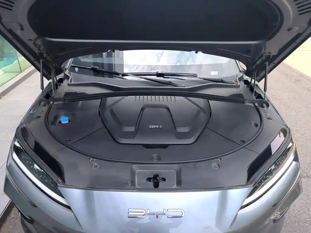 BYD Song PLUS New Energy 2024 — фото 20