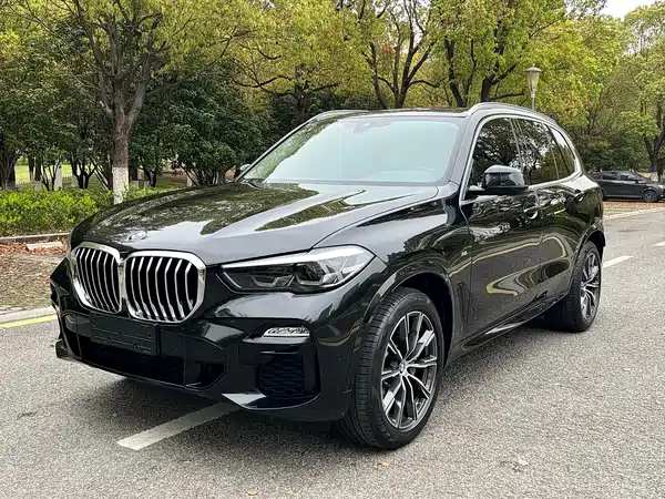 BMW X5 2021
