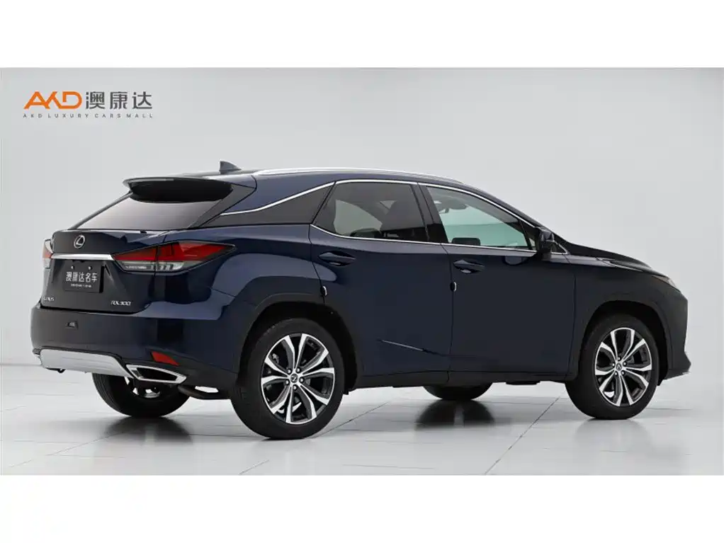 Lexus RX 2022 — фото 3