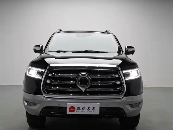 Great Wall Poer 2022