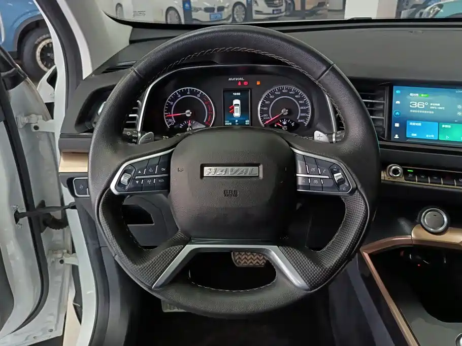 Haval H6 2020 — фото 15