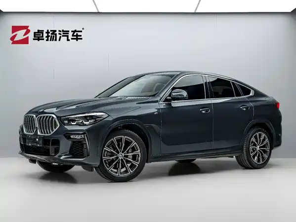 BMW X6 2021