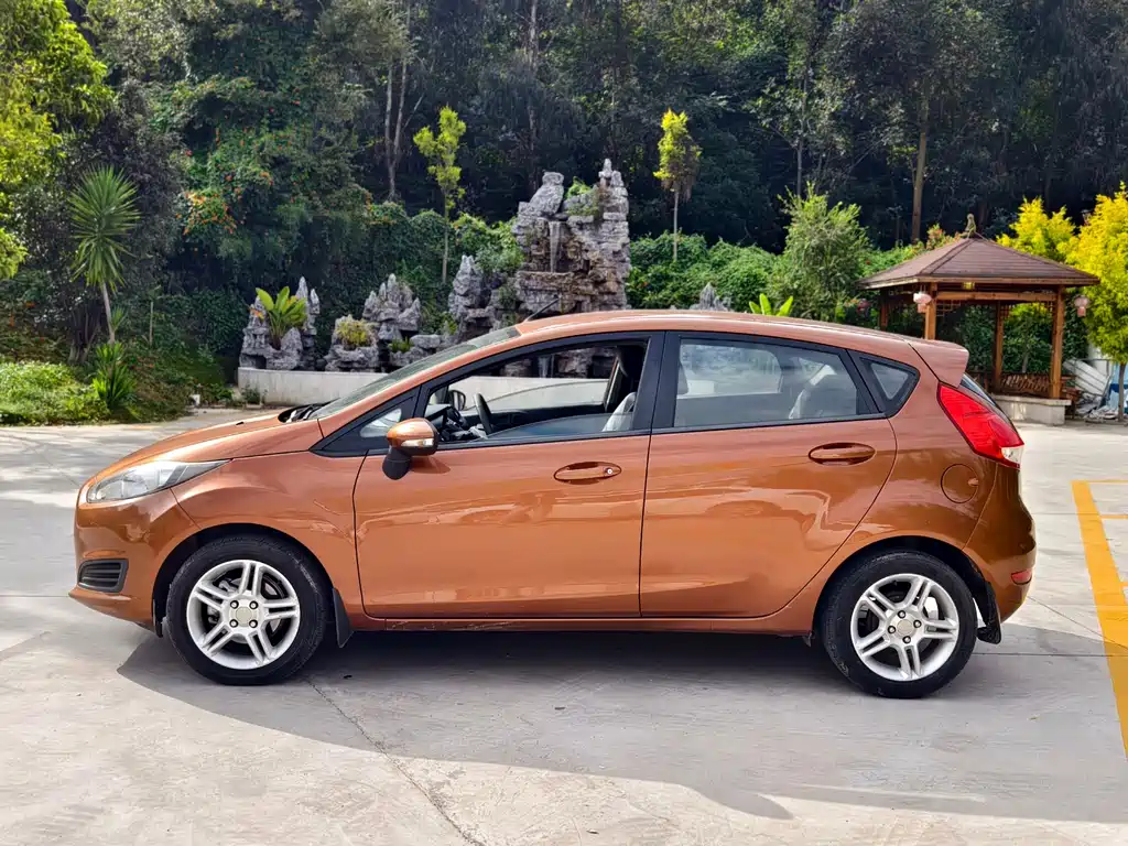 Ford Fiesta 2014 — фото 8