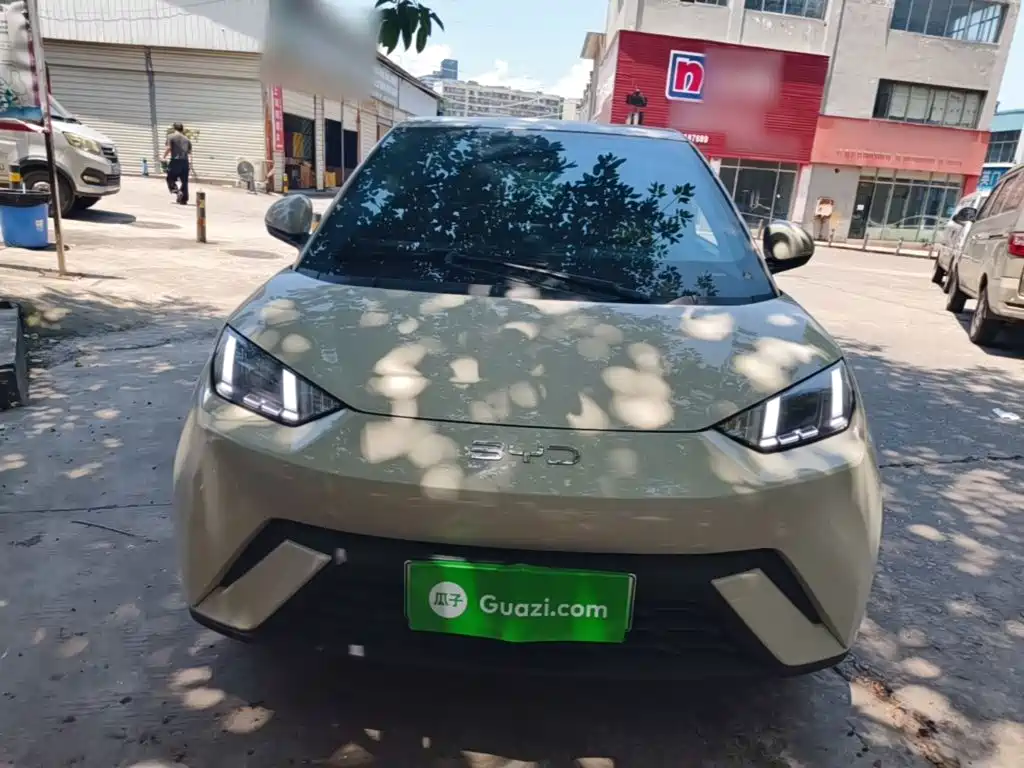 BYD Seagull 2024