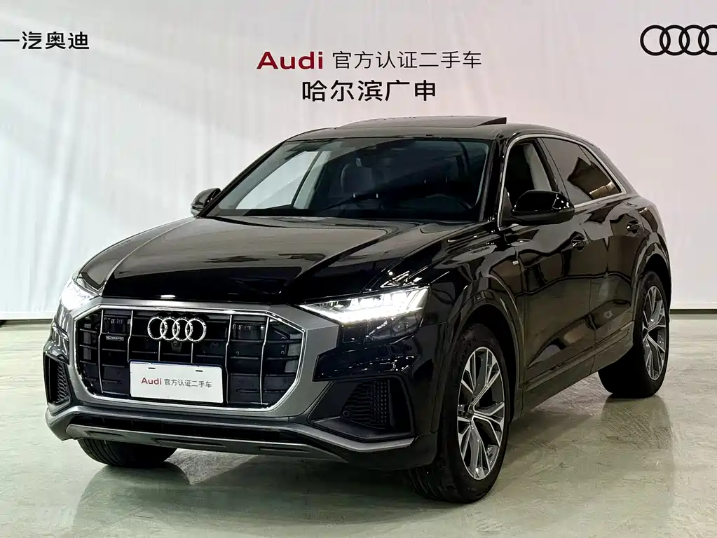 Audi Q8 2023 — фото 1