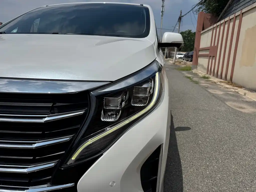 GAC Trumpchi M8 2021 — фото 25