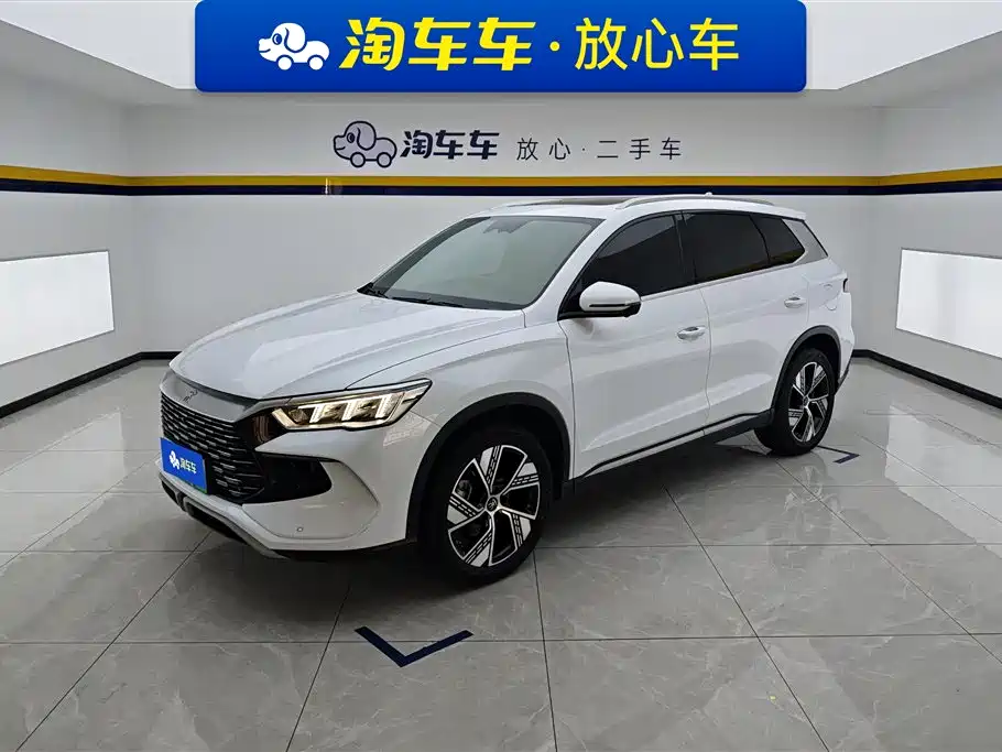 BYD Pro New Energy 2024 — фото 1