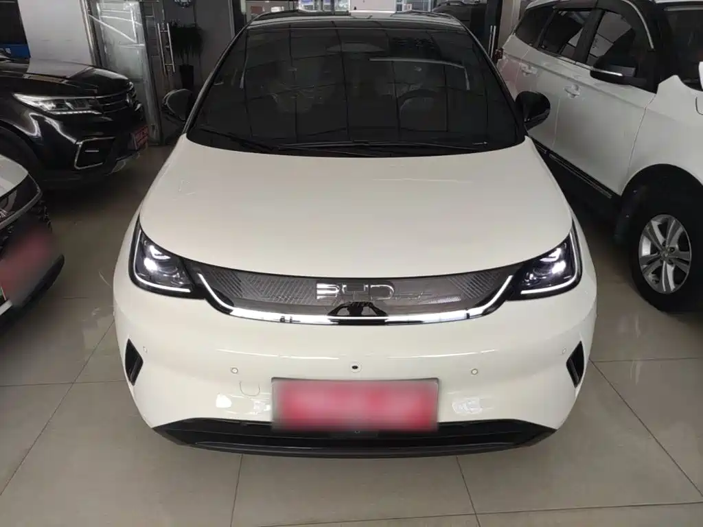BYD Dolphin 2026