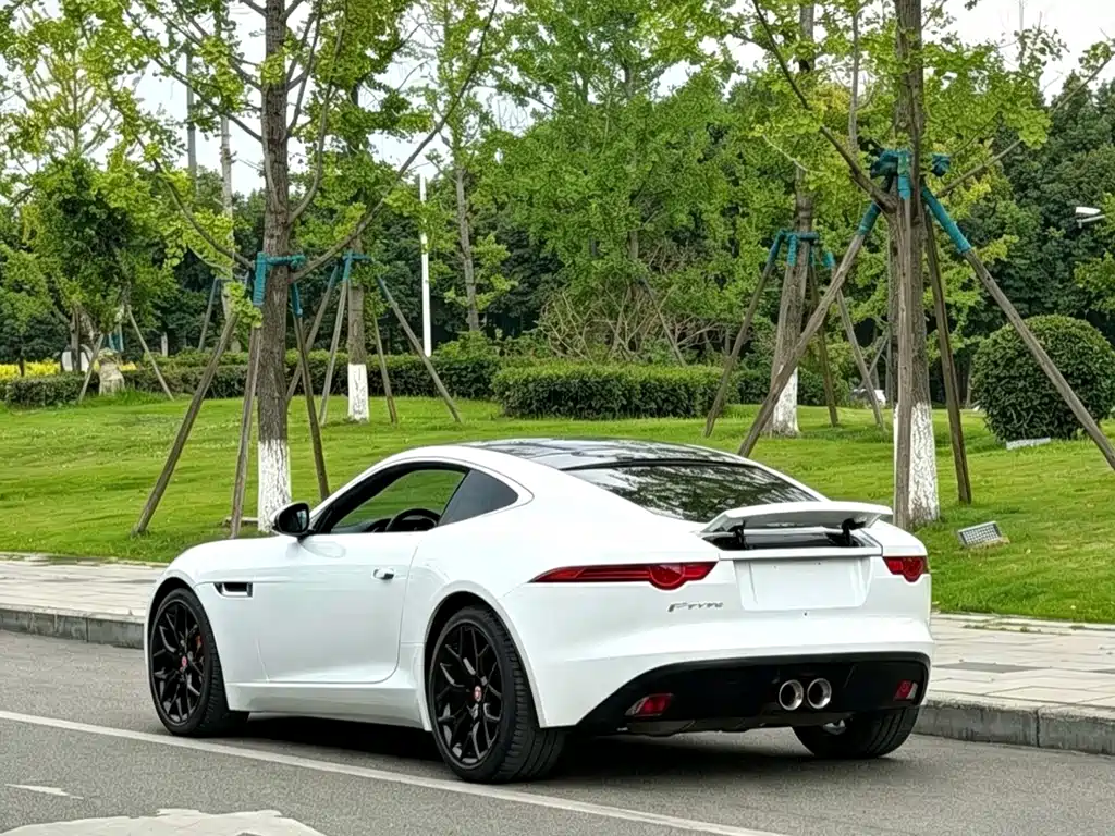 Jaguar F-TYPE 2014 — фото 9