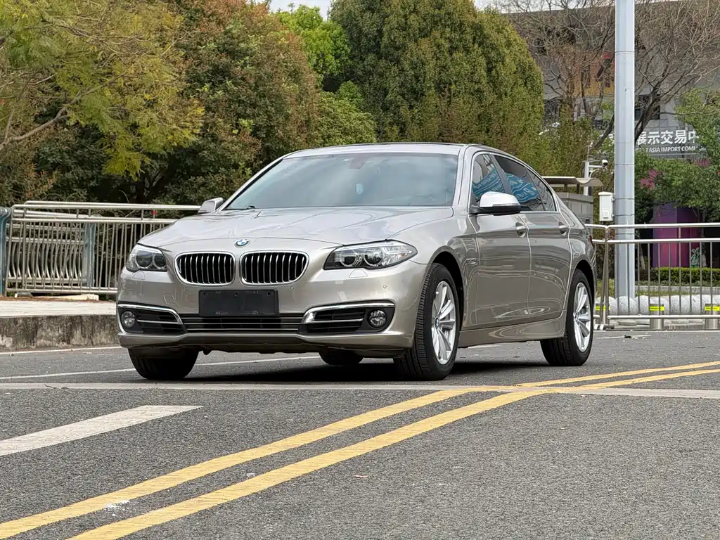 BMW 5 Series 2014 — фото 1