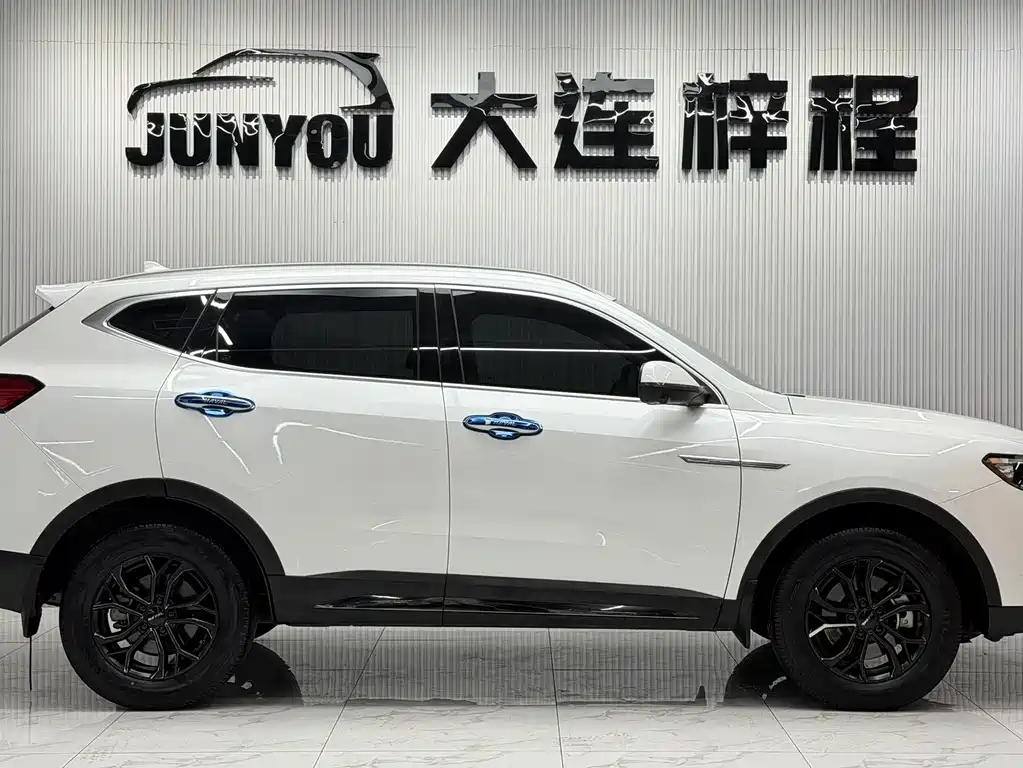 Haval H6 2023 — фото 11