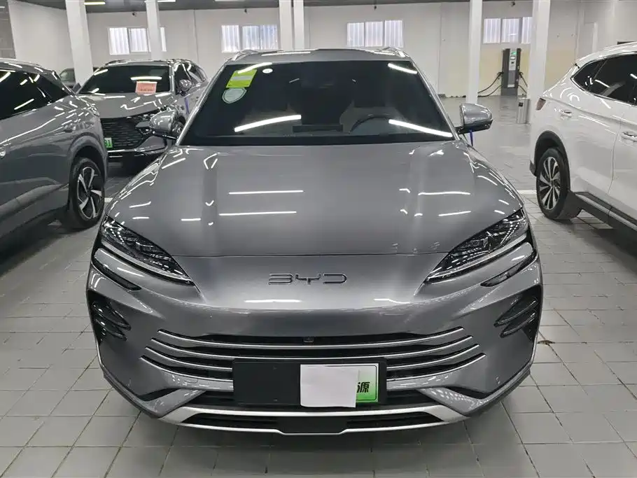 BYD PLUS New Energy 2023 — фото 2