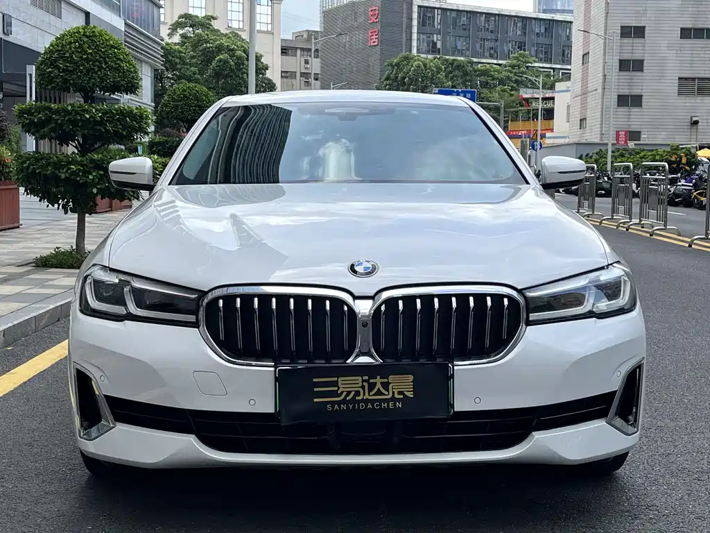 BMW 5 Series New Energy 2021