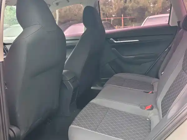 Skoda Kamiq 2019