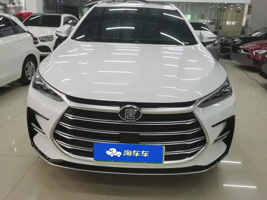 BYD Tang New Energy 2024