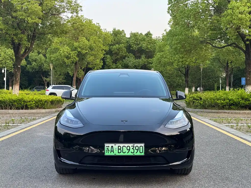 Tesla Model Y 2024 — фото 2