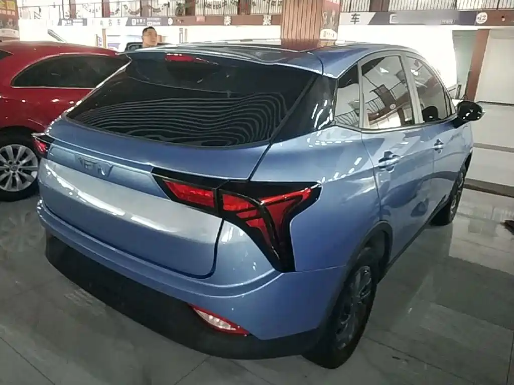 Neta V 2022