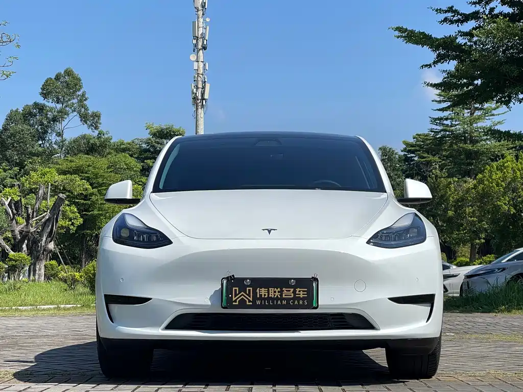 Tesla Model Y 2023 — фото 2