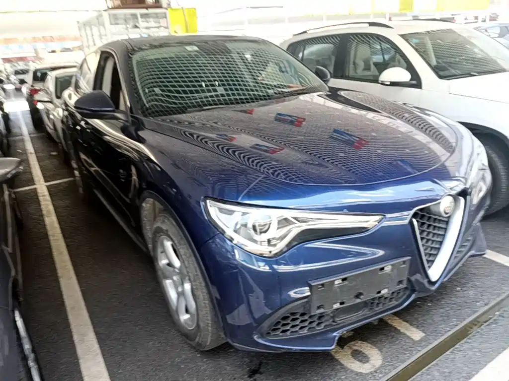 Alfa Romeo Stelvio 2019 — фото 4