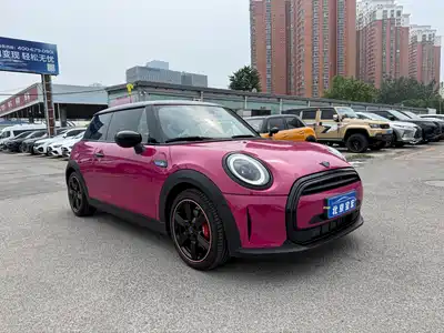 MINI MINI 2024