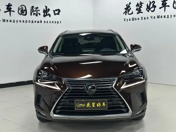 Lexus NX 2020
