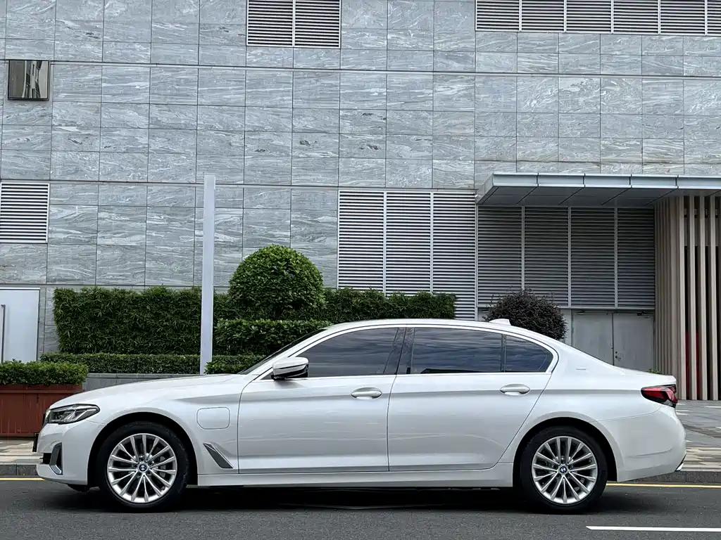 BMW 5 Series New Energy 2021