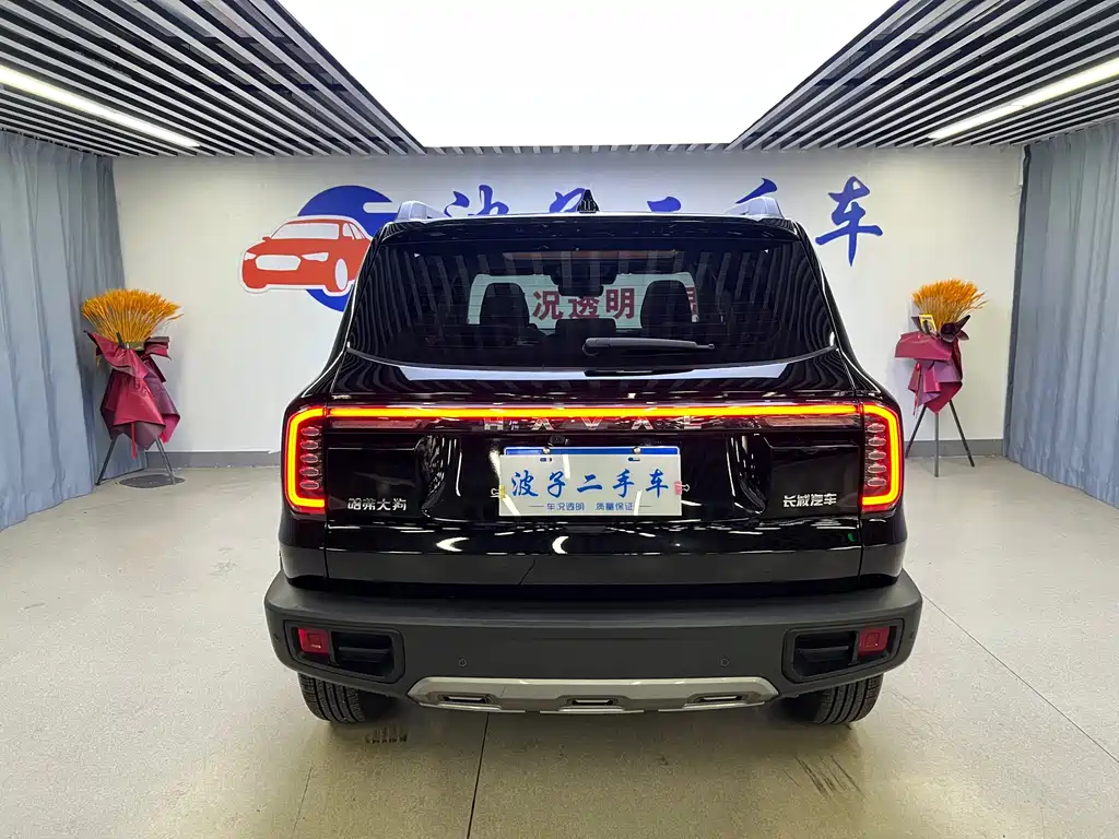 Haval Big Dog 2024 — фото 18