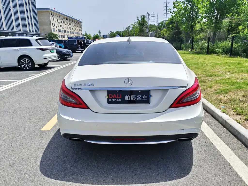 Mercedes-Benz CLS 2014 — фото 16