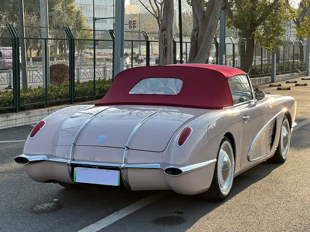 SONGSAN MOTORS SS DOLPHIN 2023 — фото 6