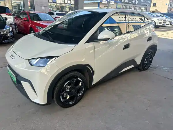 BYD Seagull 2024