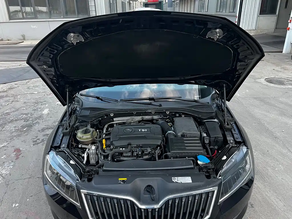Skoda Speedy 2018 — фото 11