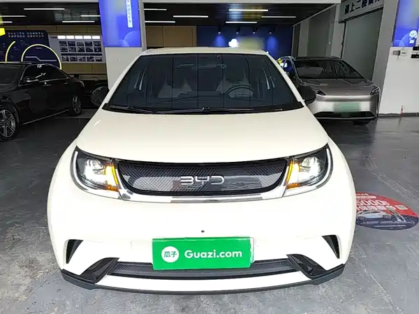 BYD Dolphin 2023