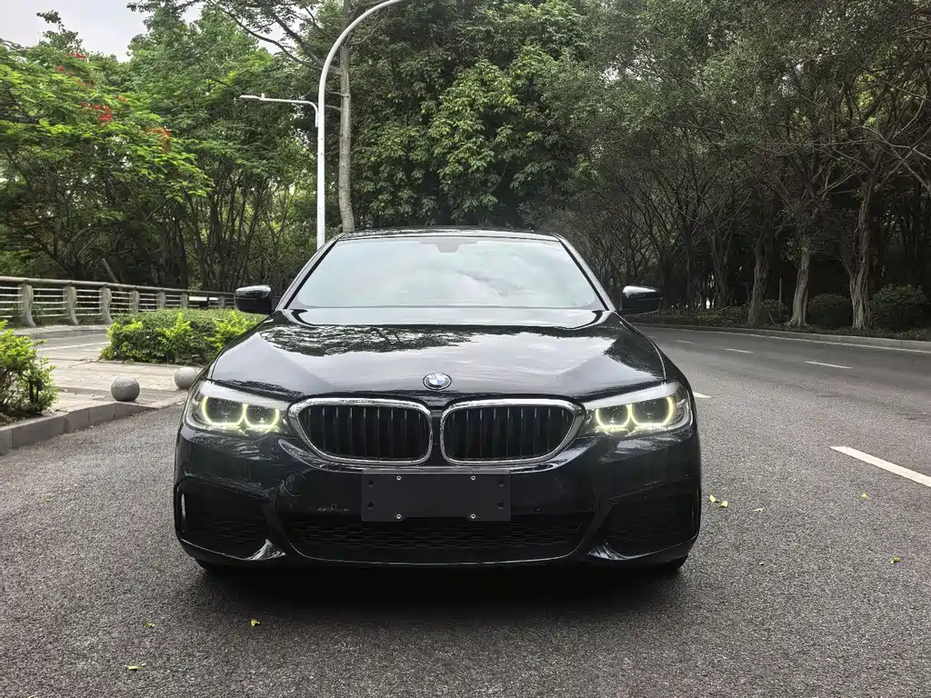BMW 5 Series 2020