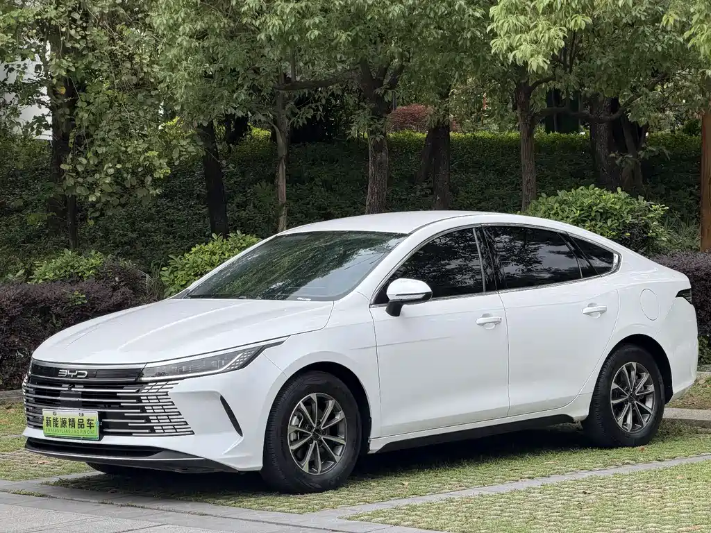 BYD Destroyer 05 2024