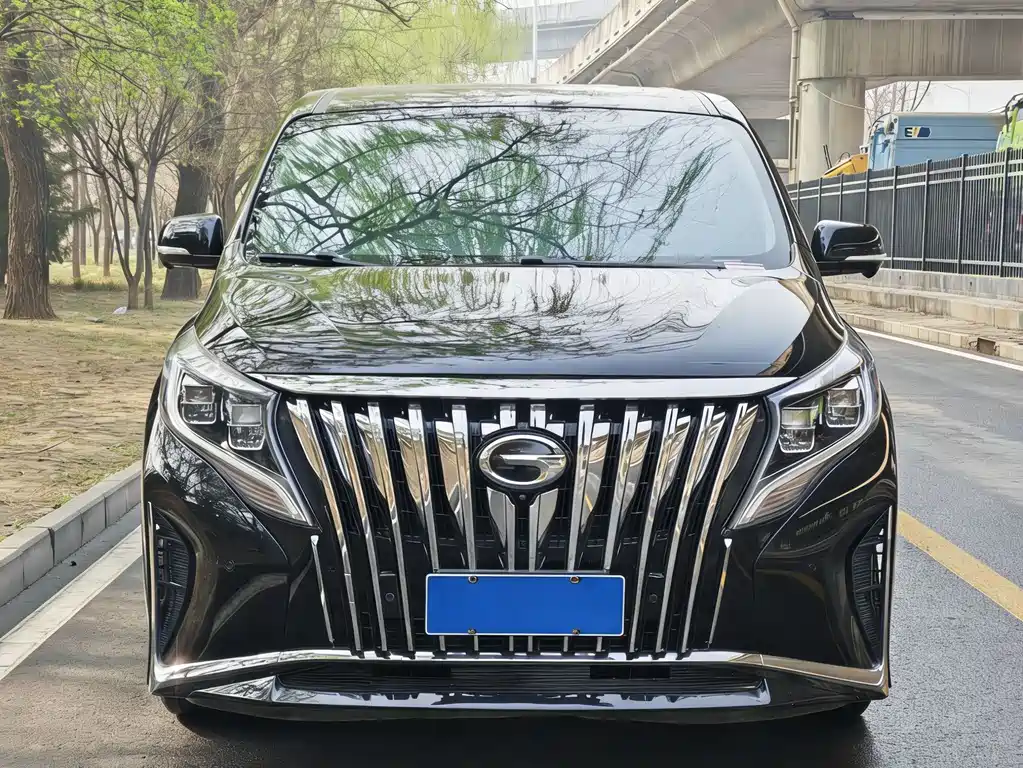 GAC Motor Trumpchi M8 2023 — фото 2
