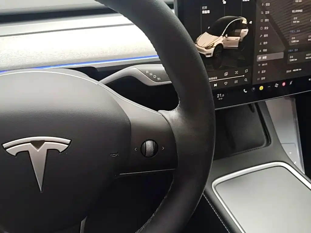 Tesla Model Y 2024 — фото 14