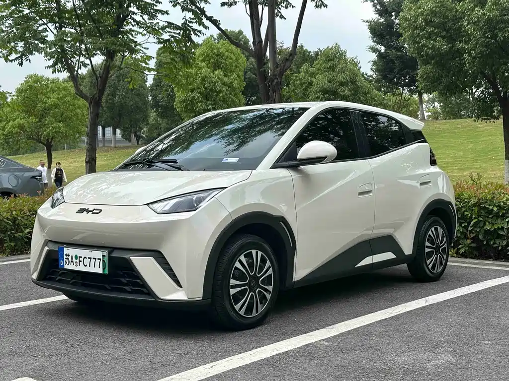 BYD Seagull 2024