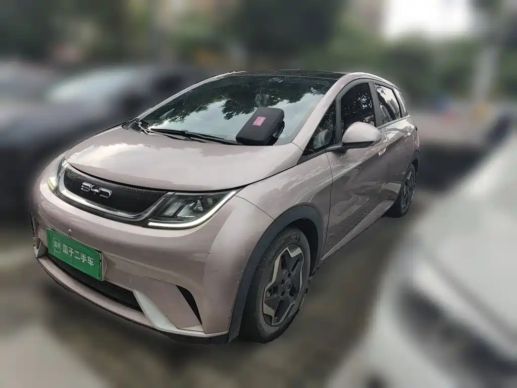 BYD Dolphin 2022